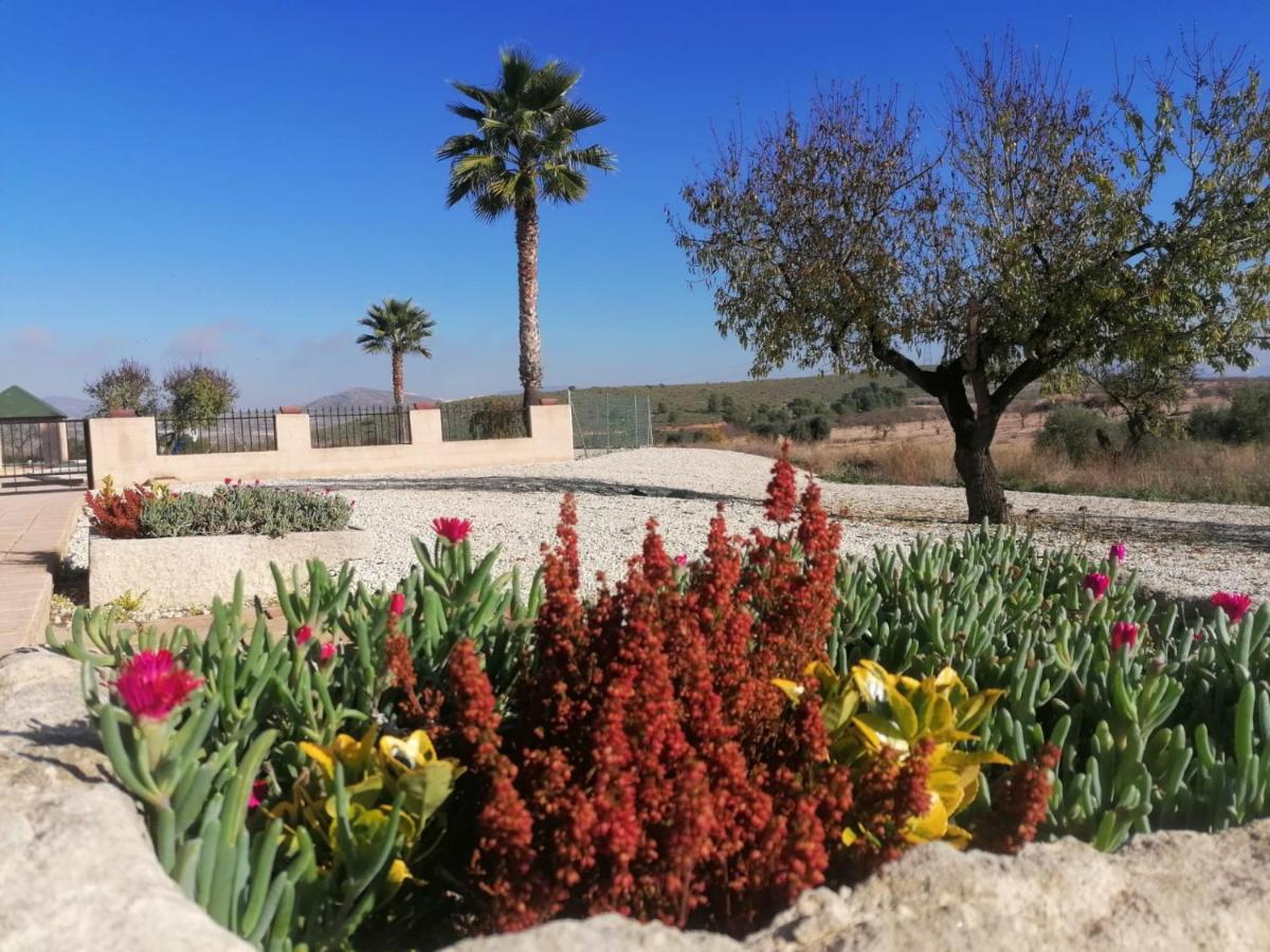 Finca Guillermo Murcia Canada del Trigo Екстериор снимка