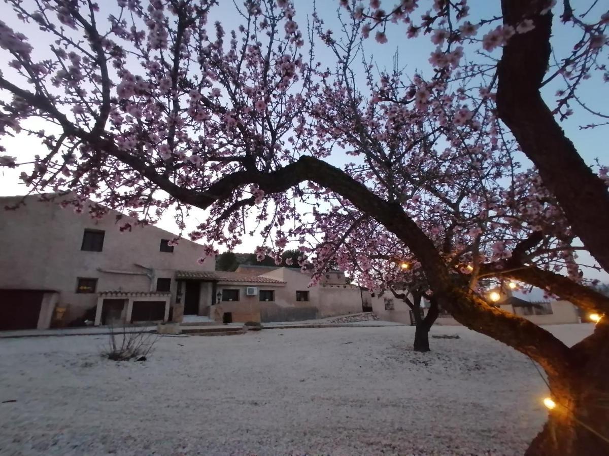 Finca Guillermo Murcia Canada del Trigo Екстериор снимка