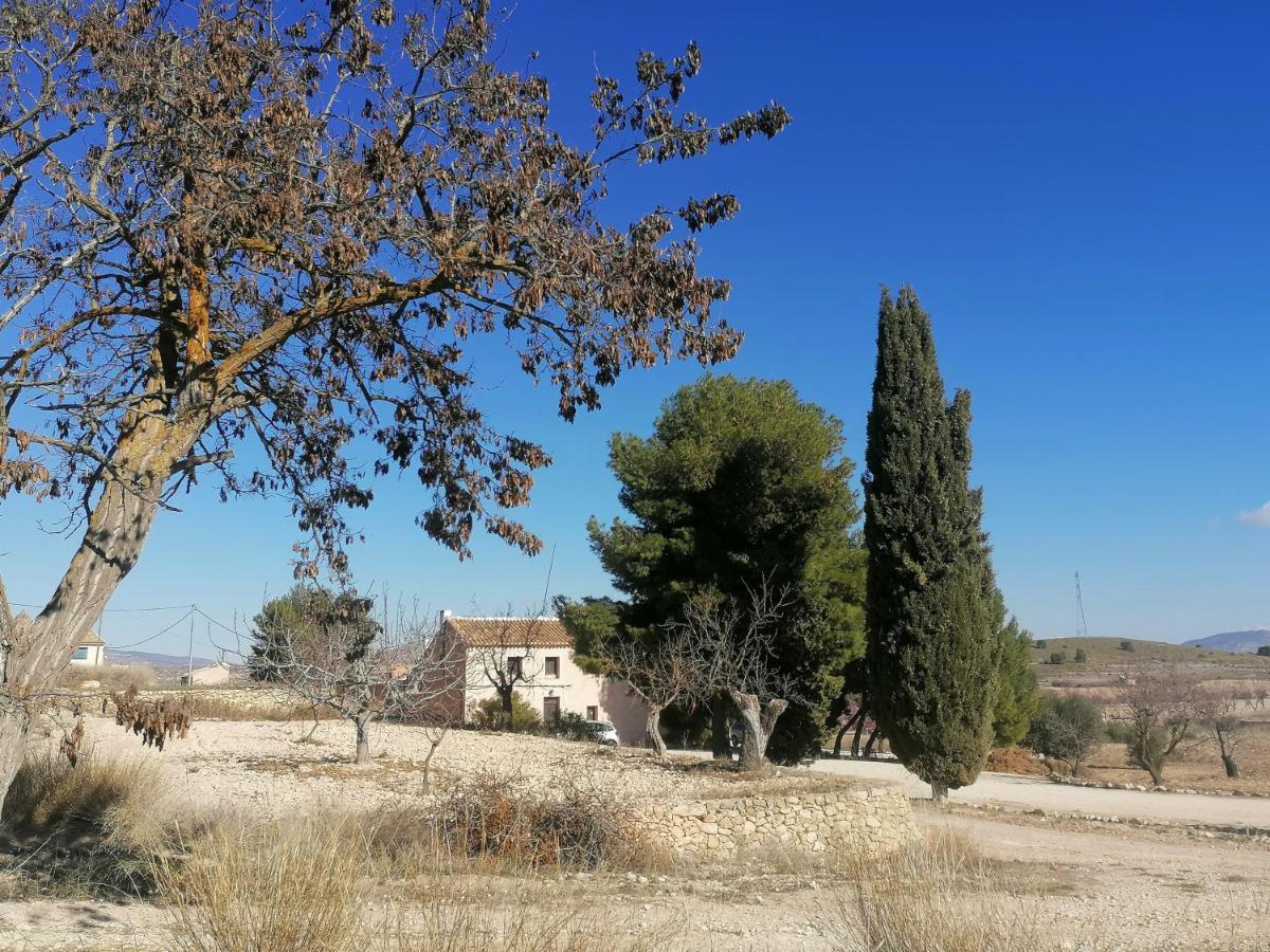 Finca Guillermo Murcia Canada del Trigo Екстериор снимка